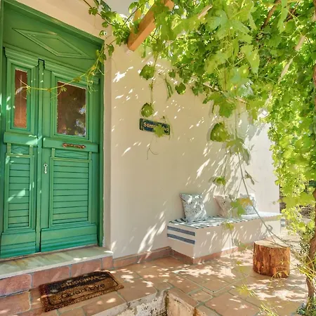 Sempreviva Agios Leon