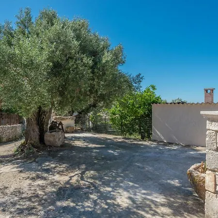 Semesterbostad Sempreviva Agios Leon