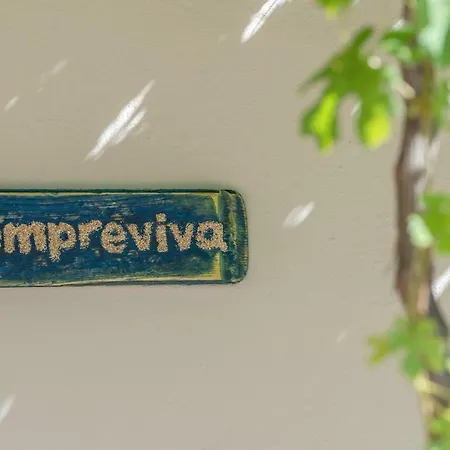 Sempreviva Agios Leon