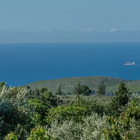 Sempreviva * Agios Leon