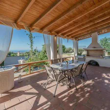 Sempreviva Agios Leon