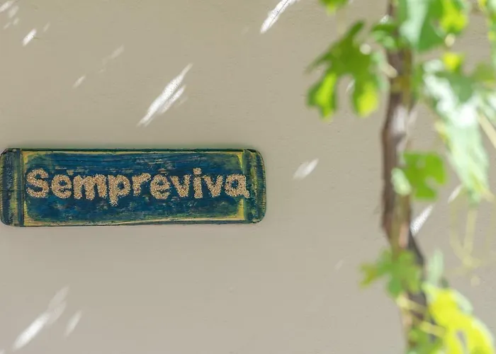 Sempreviva Agios Leon