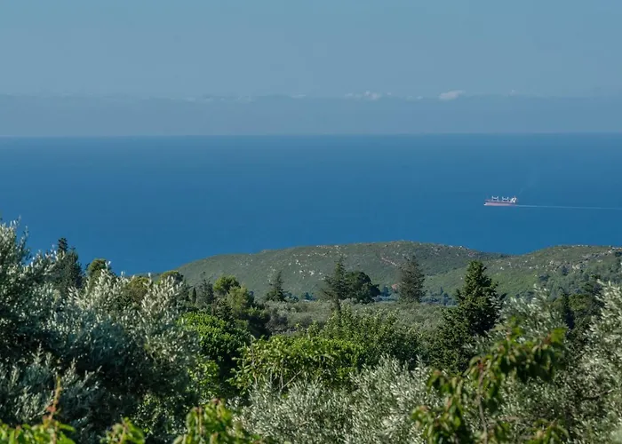 Sempreviva * Agios Leon