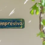 Sempreviva Agios Leon