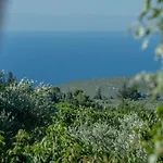 Sempreviva *