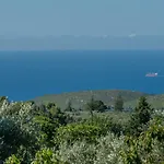 Sempreviva * Agios Leon
