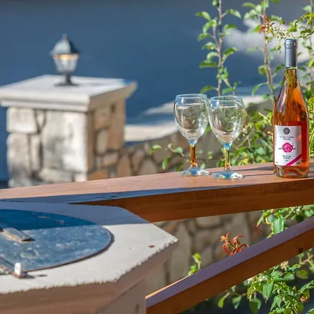 Sempreviva * Agios Leon