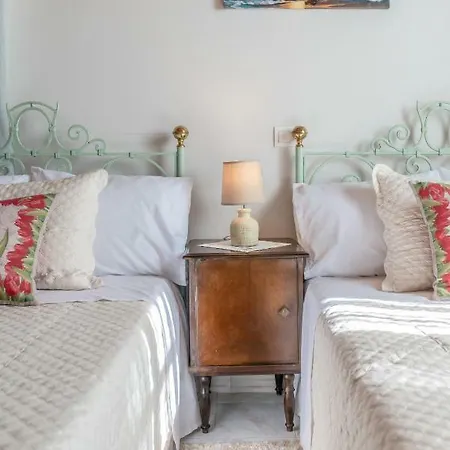 Sempreviva * Agios Leon